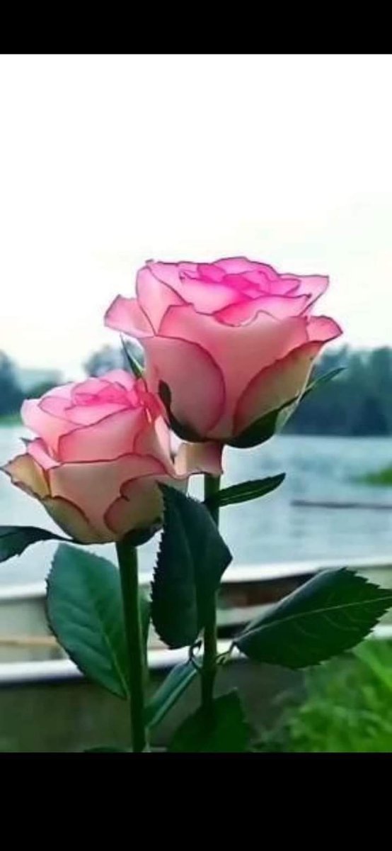 Feliz tarde ❤️❤️❤️
#1Ago |🇻🇪 📢 ¡SGUNDA ETIQUETA DEL DÍA! ▶️ 

#VTVEsNuestroPana

Y no pretendemos discutirlo con nadie.

¡Felices 59 años!
<a href="/NicolasMaduro/">Nicolás Maduro</a> <a href="/Nelsontrejo92/">Nelson Trejo</a> <a href="/LL78913/">LL789</a> <a href="/Rosa98885012/">Rosa</a> <a href="/jmhgomez1/">@Jmhgomez</a> <a href="/yenny_escorche/">tuitero de Aragua</a> <a href="/rosales69/">Edgar.A.R.R</a> <a href="/estr3mao1411/">🇻🇪☕Vicente Flores☕🇻🇪</a>