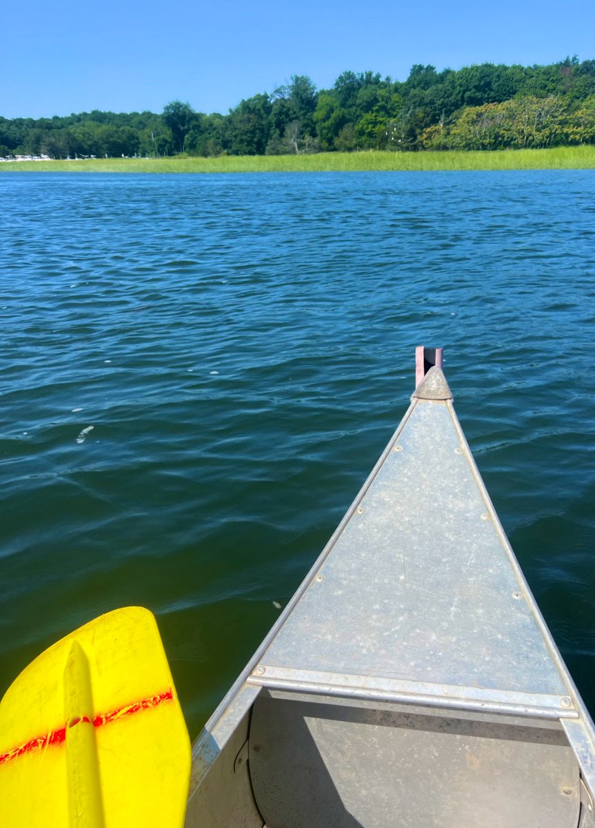 Canoed the Nissequogue River today 🛶with an amazing group of educators across LI! I learned so much about rivers & invasive wildlife.☀️♻️ A cool quote  from today: “No man ever steps in the same river twice.” @nyseagrant @GCUFSD @Garden_City_HS  @NGSSchat #LIsound