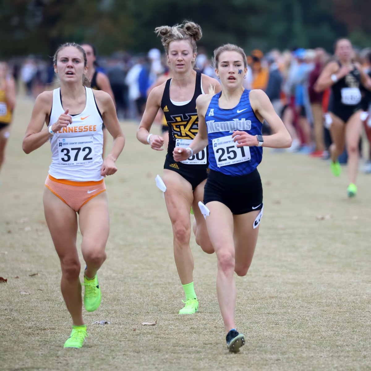 MemphisTFXC's tweet photo. Counting down the days to XC szn ⏳

#GoTigersGo https://t.co/c5sDFBPgCV