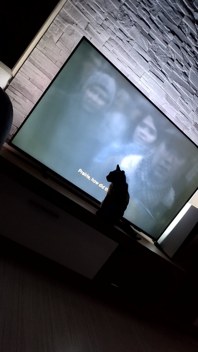Sasha04336299's tweet photo. @JKumanovka Еве гу иста 😻😻😻 https://t.co/XrJuGNrobR