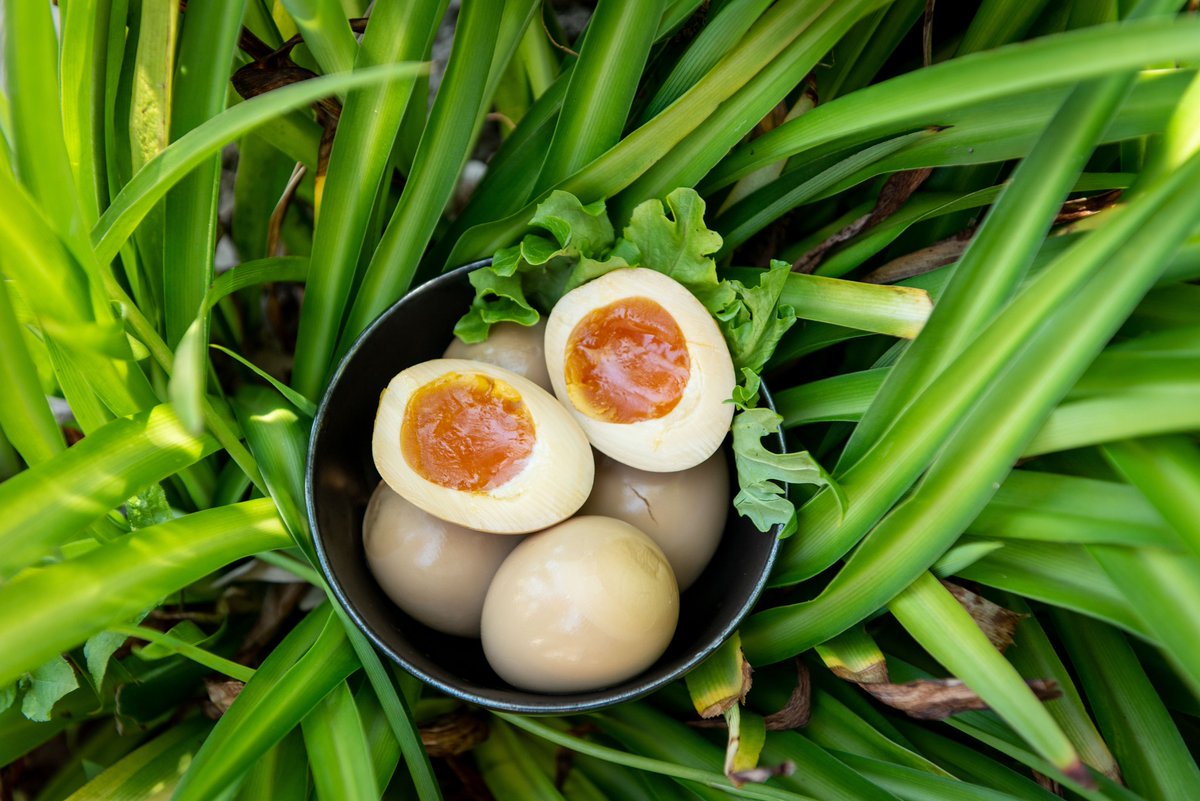 City of Round Rock tweet media