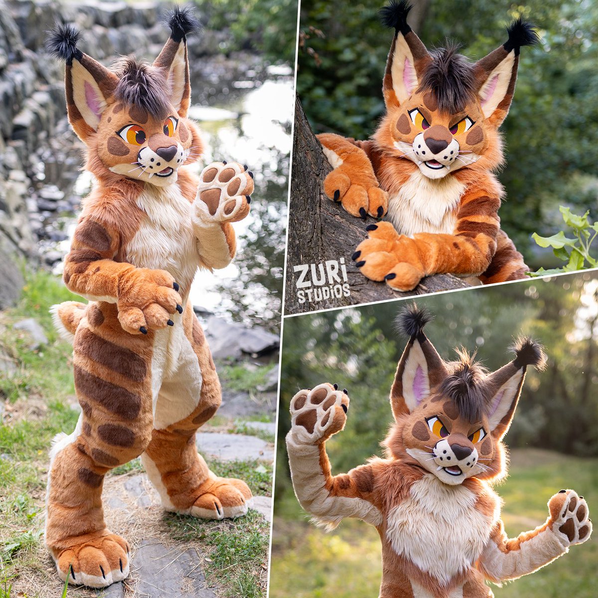 Zuri_Studios's tweet photo. The lynx/caracal is finished! ✨🐱✨Who wouldn't love cats with cute ear tufts? 
🧵: @Zuri_Studios 
📸: @FurCPhoto https://t.co/fHq6FSaT6h