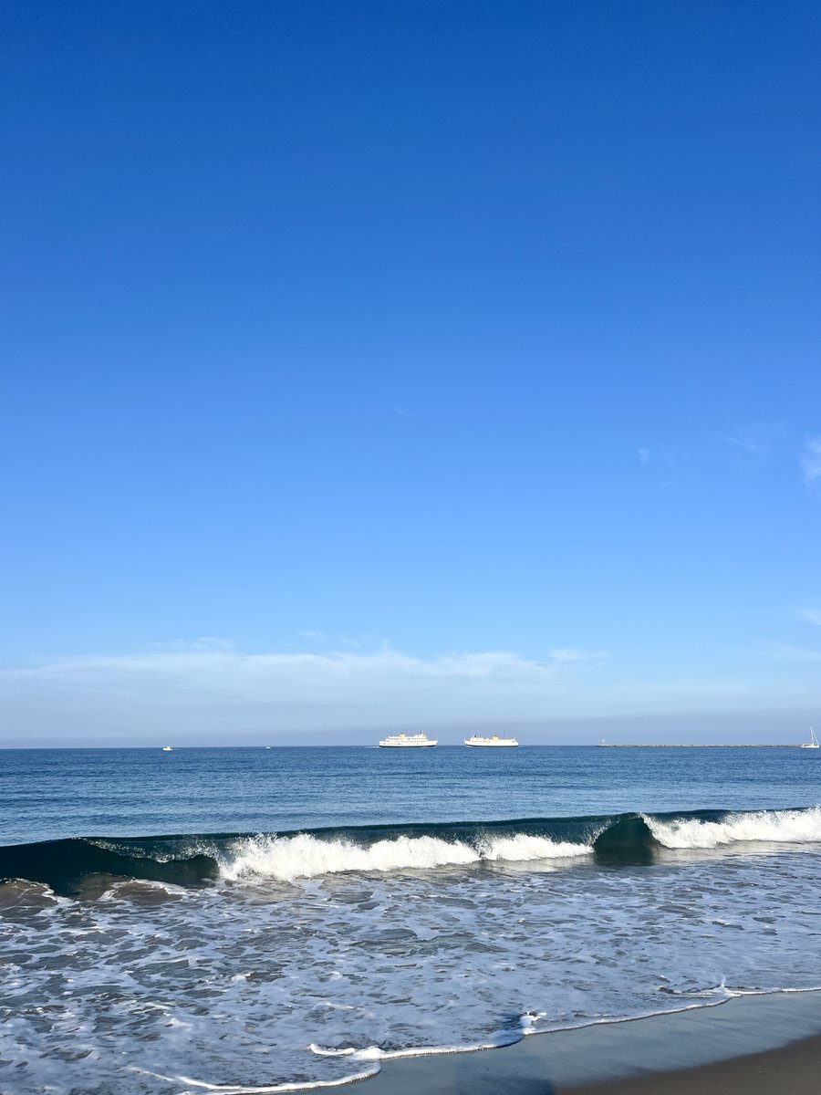 BlockIslandOrganics tweet media