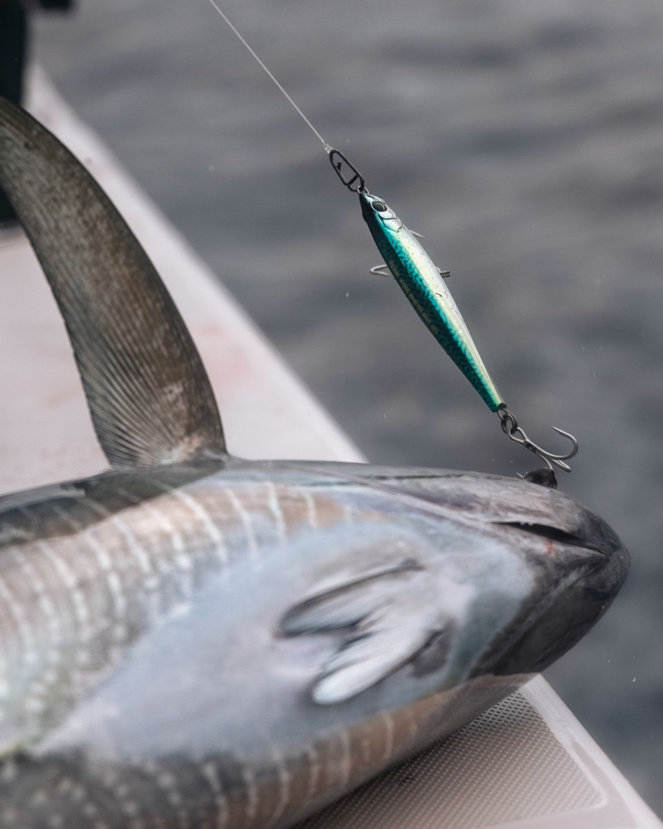 gearcoop's tweet photo. The Yo-Zuri Hydro Monster Shot Stick Bait is the MOST versatile hard bait on the market &amp; we have it at the Coop. 🎣 Shop in-store or online. 
#yozuri #hydromonster #bait #blackfin #yellowfin #tuna #SantaAna #GearCoop #ThriveOutside  https://t.co/F8ZPDqQgwz https://t.co/CszMYmks9g