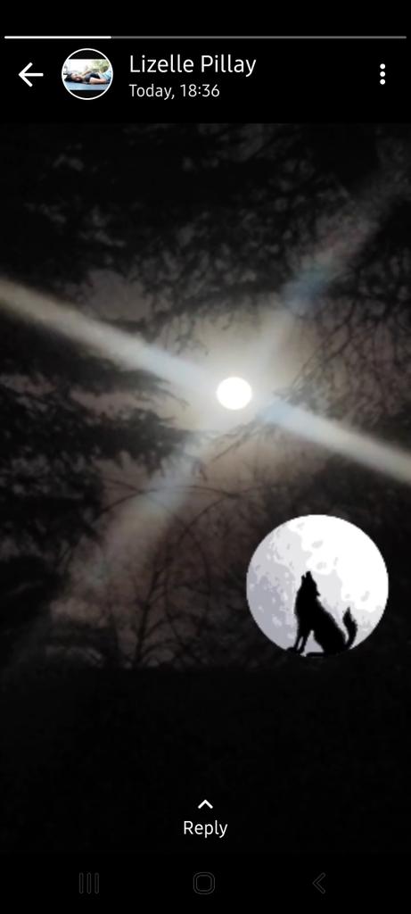 _YASHICA_'s tweet image. Wolf Howl #MoonChild
#FullMoonBlessings