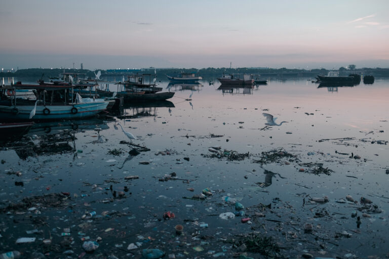 The endless struggle to clean up Rio de Janeiro’s highly polluted Guanabara Bay news.mongabay.com/2023/08/the-en…
