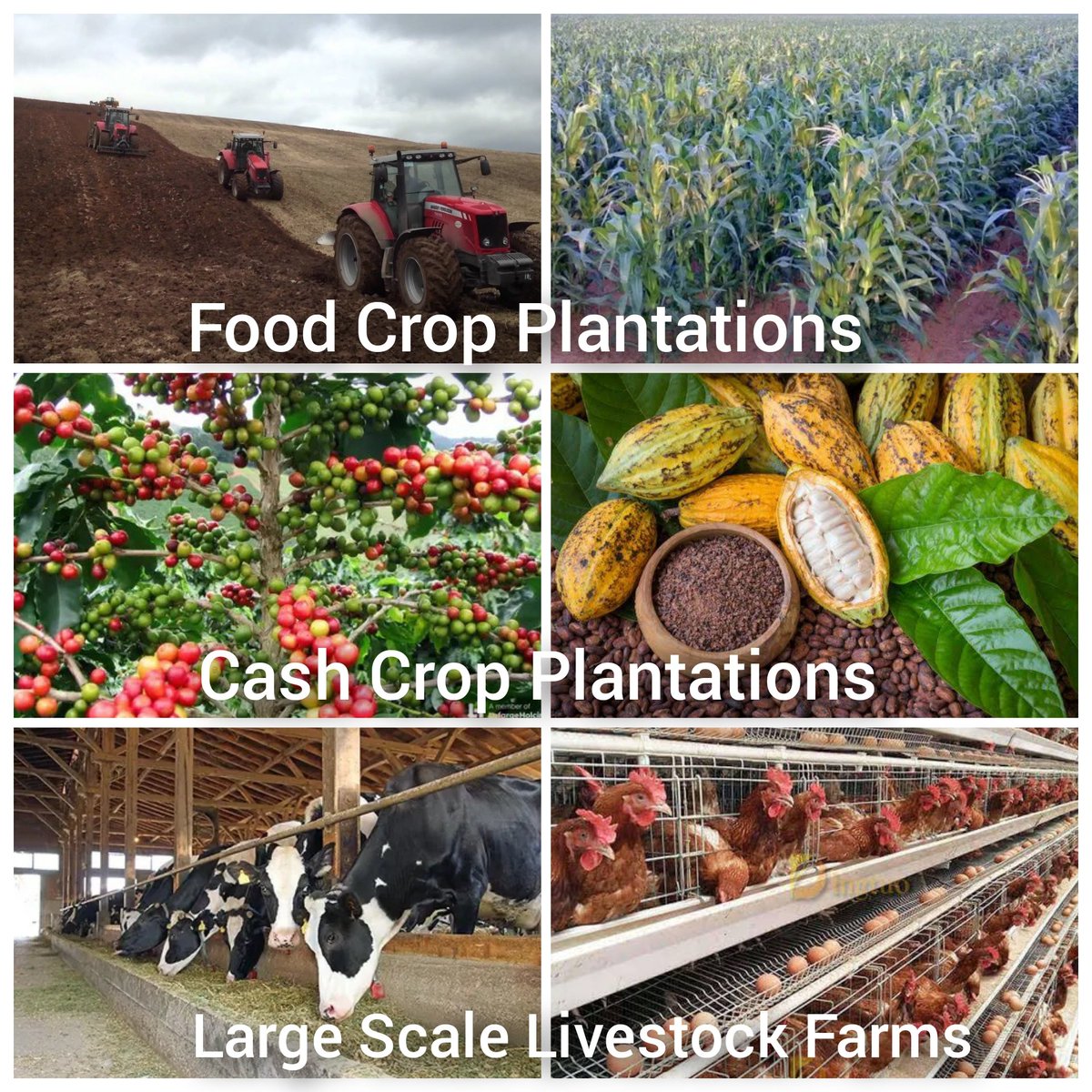 Humanitz_IP's tweet image. #An_Idea

By combining the Resources at our Disposal, to #Establish The Largest Uniquely Structured &amp;amp; Designed #Self_Sustaining Global Charity Program.

With several Fully Established Institutions, that can Permanently Accommodate, Fully Educate, Develop Skills &amp;amp; Nurture Talents