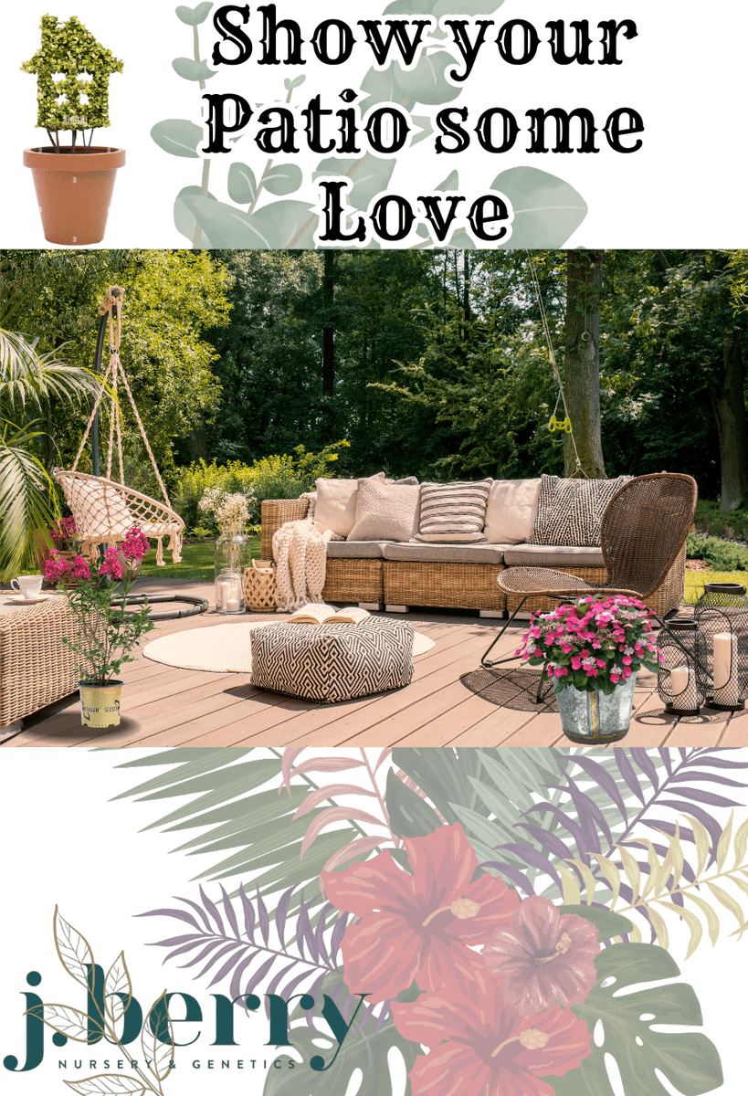 blackdiamondblm's tweet photo. Get ready to relax, unwind, and savor the beauty of nature right at your doorstep.  Share your favorite patio plant ideas with us in the comments below!

#PatioPlants #ContainerGardening #OutdoorLiving #PatioOasis #GardenInspiration #NatureAtYourDoorstep https://t.co/e1kJJbx8kx