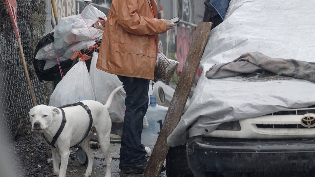 meetsaintpaul's tweet photo. Like all dogs, Albus absolutely adores Paul. So much so, he'll even brave thunderstorms to come out and greet him when he arrives. 

Albus is 8, and Paul has been helping him out for 6 of those years. 

Learn more at https://t.co/7YFx58G1P5
#dogs #homelessness #sf #documentary https://t.co/KJOooa6F82