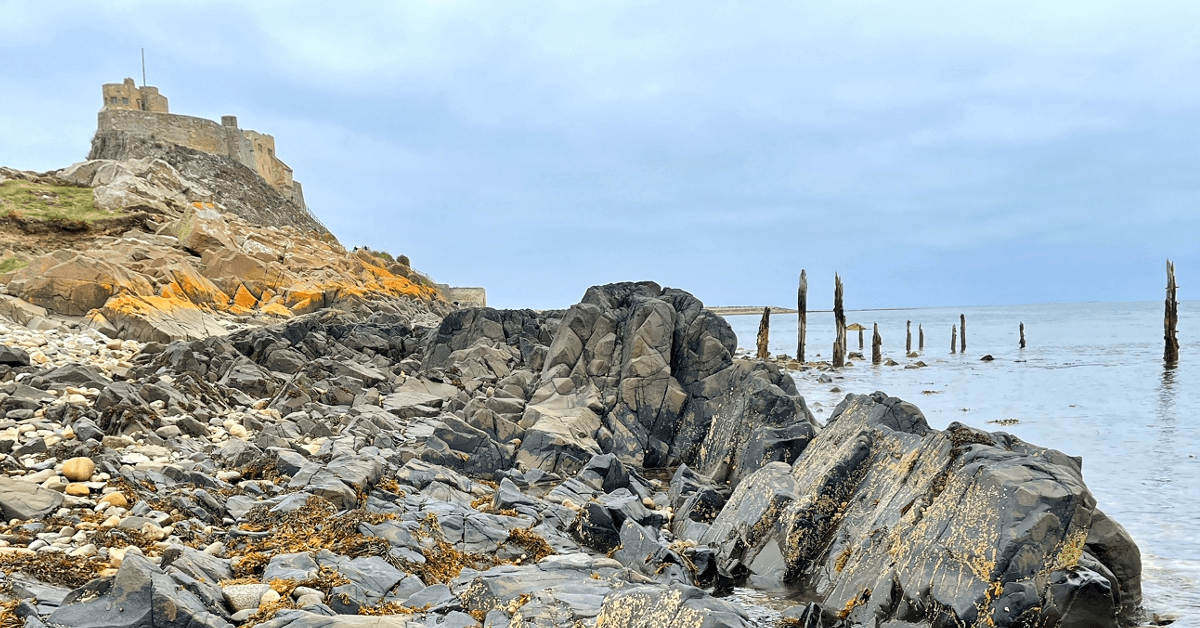 ContoursHoliday's tweet image. "As views roll across the water, crumbling castles teeter on the sides of fossil filled cliffs, giving you an insight into the history and wildlife of this Area of Outstanding Natural Beauty." 🌊

Read "5 places to visit on the Northumberland Coast": buff.ly/3YcsXLZ