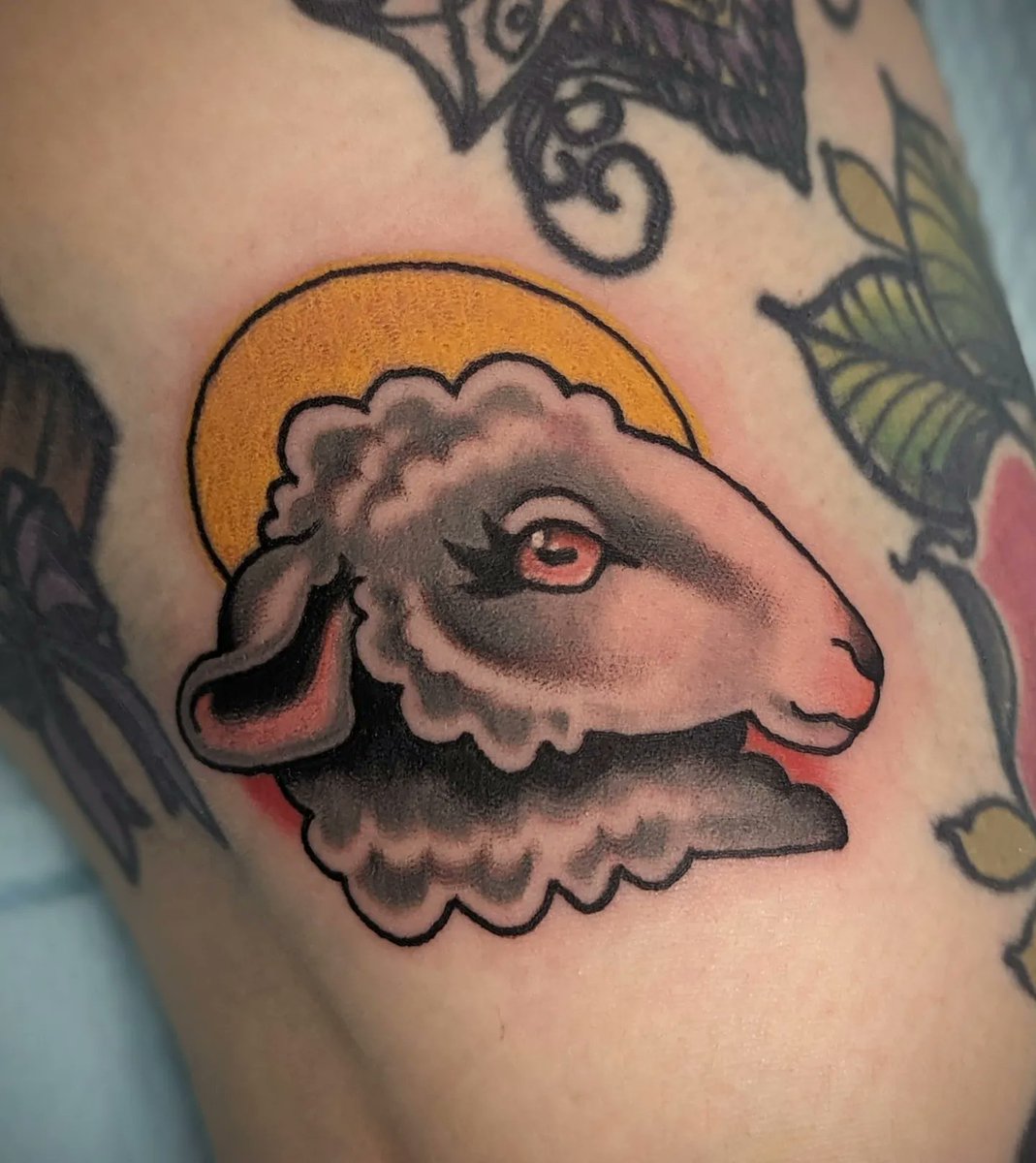 concannock's tweet photo. this heavenly sheep https://t.co/SEIcynFRBy