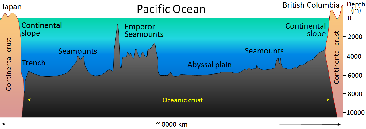 MentalsFun's tweet photo. Research Oceanic Profiles!
They mix truth with lies but these profiles are hard to deny...
Here's the #PacificOcean!
#Japan to #BritishColumbia has 8,000+ KM of level #seasurface.
#TrueEarth #FlatEarth #LevelWater #Gravity #Earth #Space #Time #SpaceX #NasaLies #Nasa https://t.co/SsJXuAkzhV