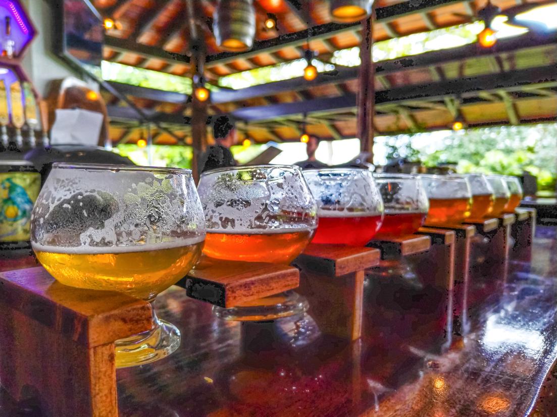 boquete507's tweet photo. Hora de los pelao's.  Cata de cerveza artesanal Tica.  Saludos desde Playa Dominical. @fuegobrewco https://t.co/tKmIlIDjTH