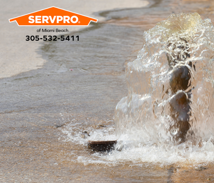 Broken Pipe Floods Commercial Property in South Beach Overnight? We restore water damage 24 hours a day in Miami-Dade County. #SERVPRO #SERVPROofMiamiBeach #MiamiBeach #FL #PropertyDamage #WaterDamage #FireDamage #Flooding #StormDamage