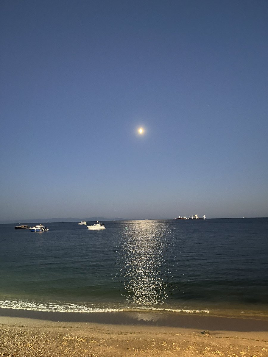 Meltem🌞✨🧚🏻 (@melltemkurtt) on Twitter photo 