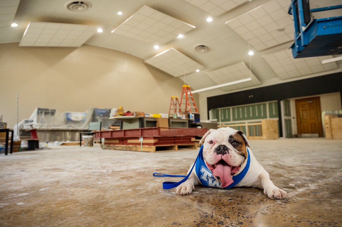 TNWesleyan's tweet photo. It’s officially August which means it’s almost time for classes to start! ✨ 

Wesley has been keeping up with dining hall renovations and we are excited to have this updated space for you to enjoy this fall! #chooseblue https://t.co/eG1y6PAG5y