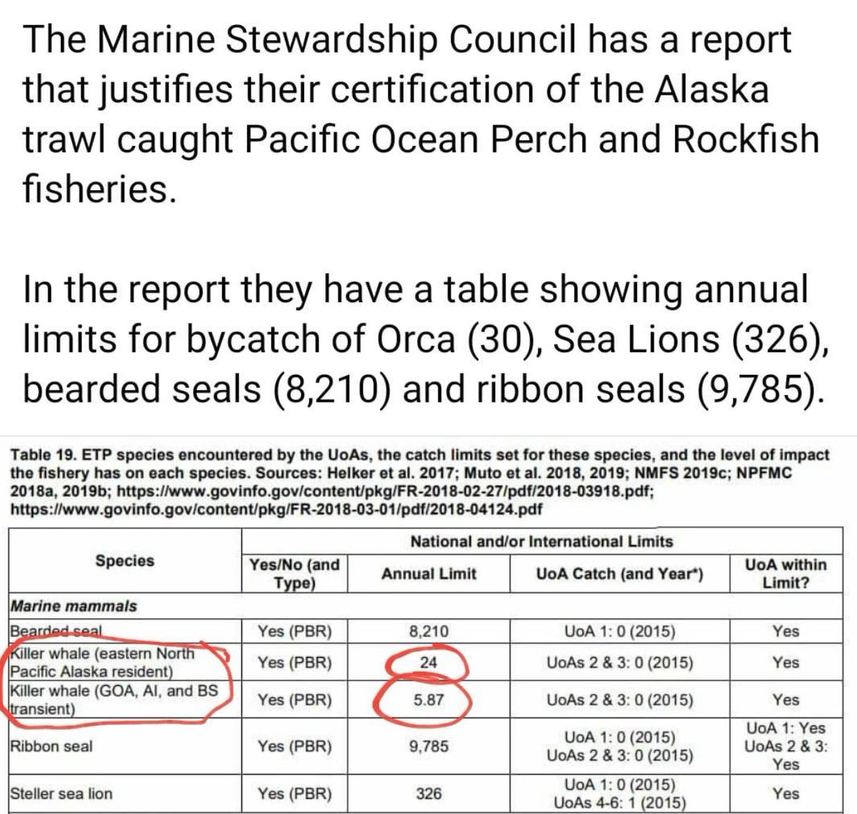 Trawler_Bycatch's tweet photo. @MSCecolabel has a massive disconnect with what they advertise to the public and how the actually interact with industrial fishing operations. https://t.co/jnrGSHUshF