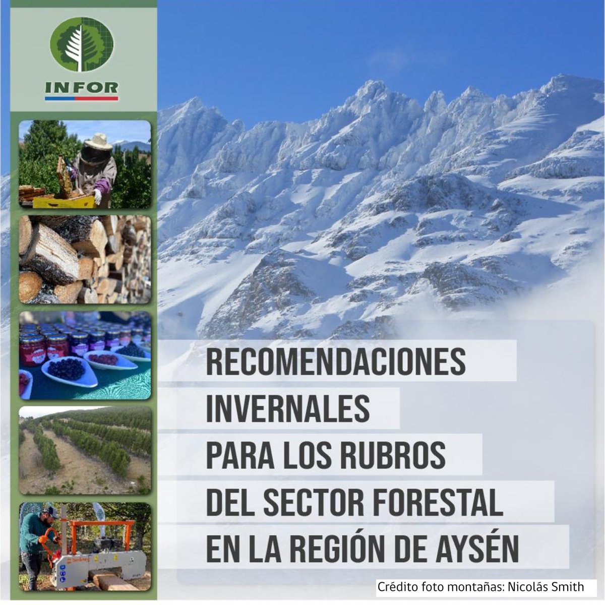 INFOR_Patagonia's tweet photo. Nuestros bosques, campos y sus nobles productos requieren un tratamiento particular en invierno y en la Patagonia. Aquí algunas recomendaciones técnicas para 🪵 #Leña 🫐🍄 Productos Forestales No Madereros #PFNM 🐝🍯 #Apicultura 📣 Comparte! https://t.co/RszLzIxlU3