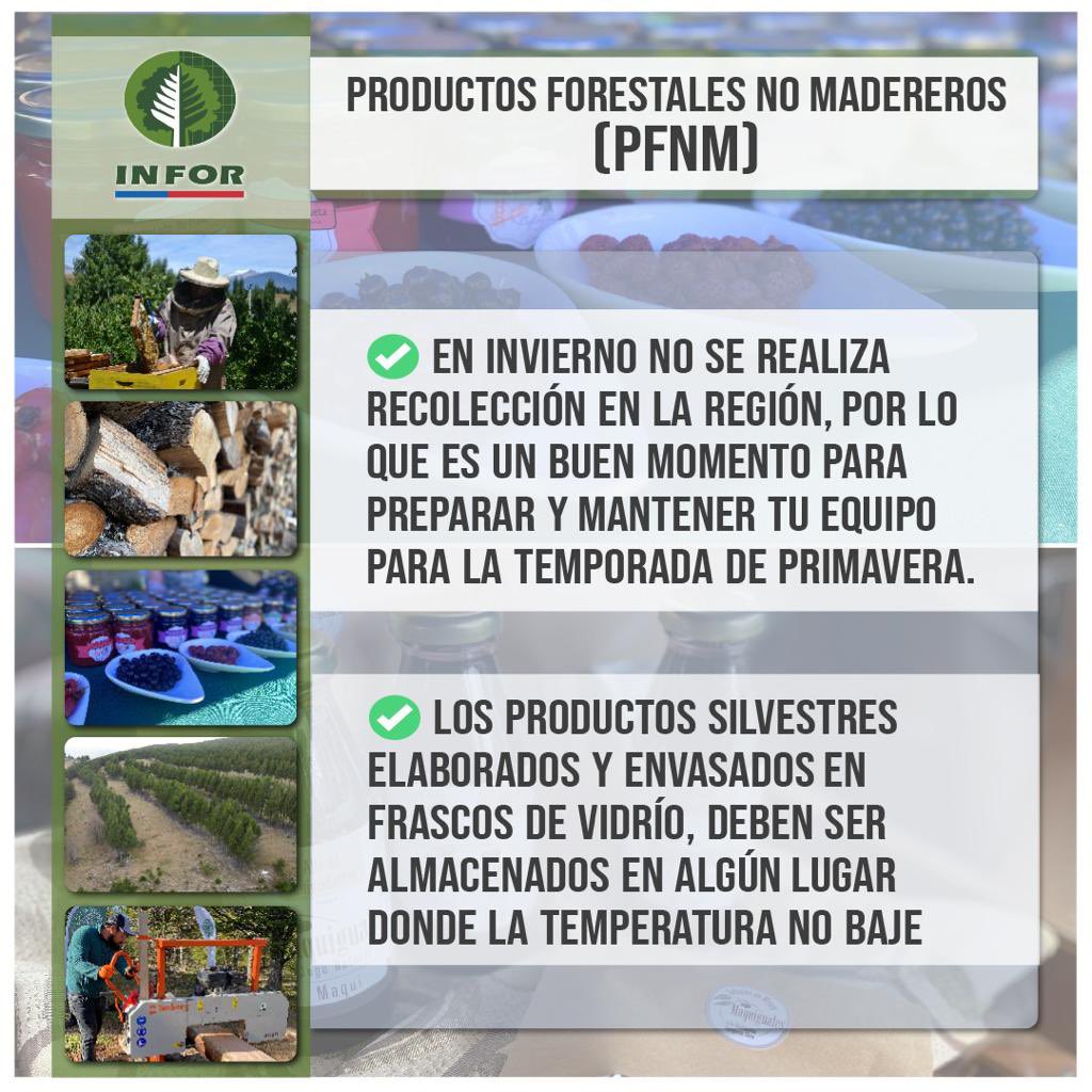 Nuestros bosques, campos y sus nobles productos requieren un tratamiento particular en invierno y en la Patagonia. Aquí algunas recomendaciones técnicas para 🪵 #Leña 🫐🍄 Productos Forestales No Madereros #PFNM 🐝🍯 #Apicultura 📣 Comparte!
