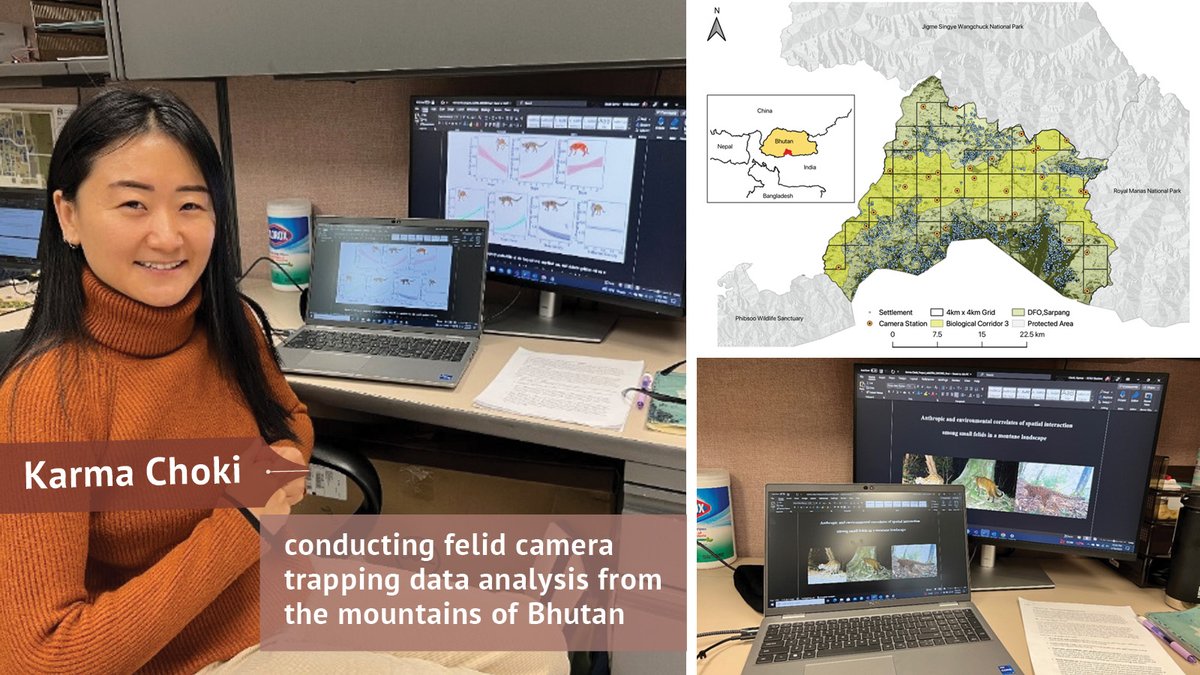 WildCRU_Ox's tweet photo. We were able to support four 2022 WildCRU International #Conservation Practice #Diploma alumni with career development scholarships. From Bhutan, Madagascar, Peru &amp; Ethiopia, the recipients used the funds to continue their research &amp; further contribute to #wildlife conservation https://t.co/g1I2qBDKz7