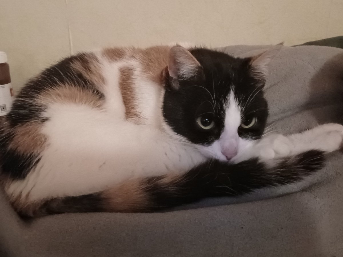 chlochette15's tweet photo. @tontonyams Ses photos définie l'expression le calme avant la tempête 🥹 https://t.co/rfOvPf7PC9
