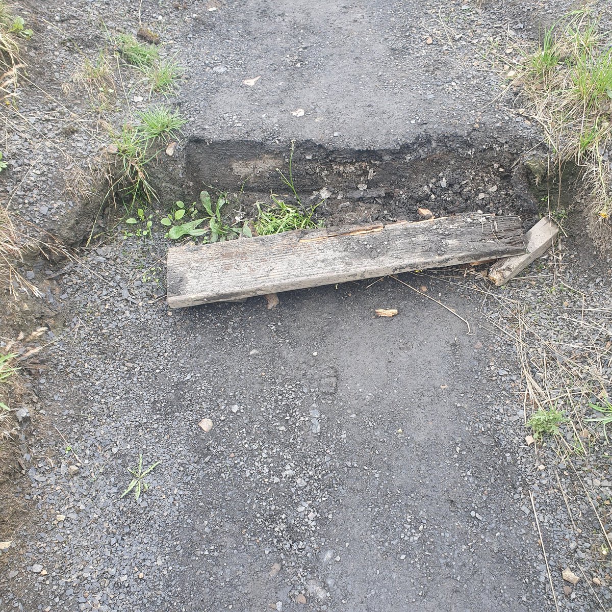 Chur Envi Volunteers tweet media