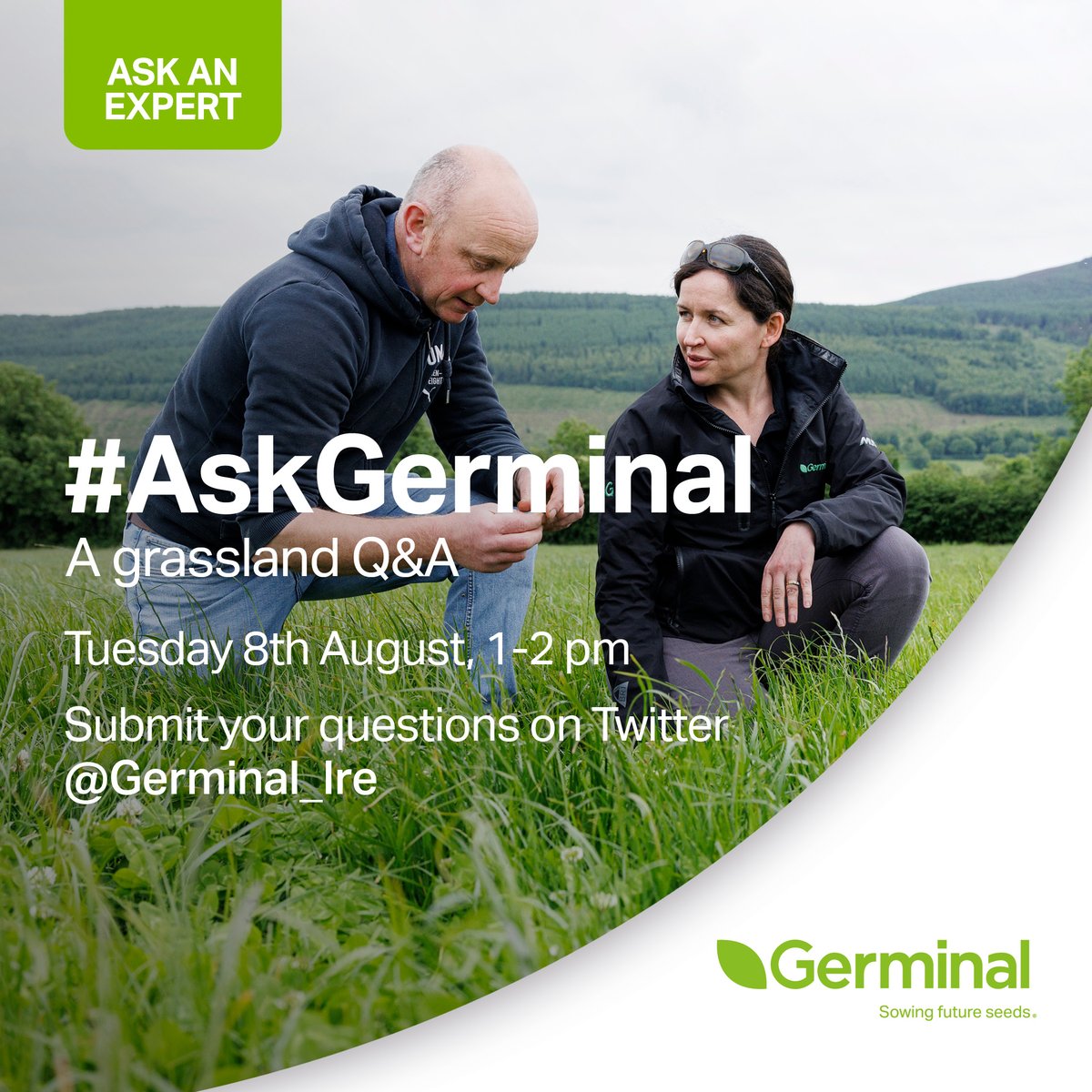 Germinal Ireland tweet media
