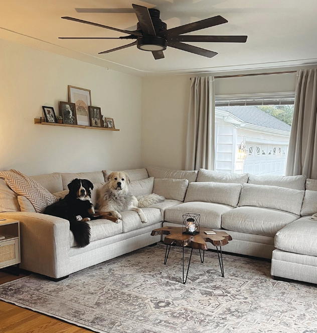 GolfMillSC's tweet image. @ValueCityFurniture has the living, dining, and bedroom essentials to fill every room in your home! 🏠

Come in and let your furniture dreams come true! 
,
,
,
,
#furniture #housetohome
#golfmill #shoppingmall #shopping #nilesillinois #shopniles