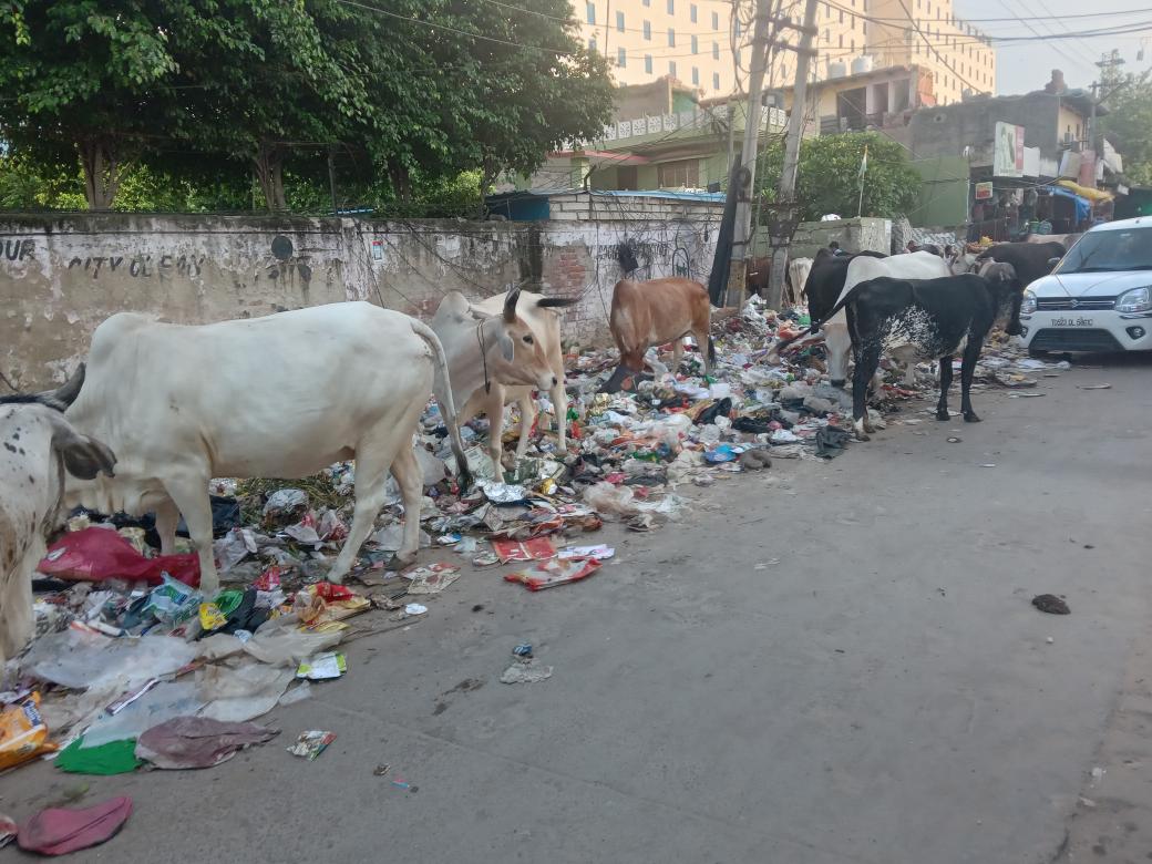 i_mohitkumar's tweet photo. 🚨 Urgent Complaint 🚨
@MunCorpGurugram @mlkhattar @TOIGurgaon

Massive garbage dump near Gali no. 4, Tikri, Sector 48, Gurgaon. Causing health &amp; environmental hazards. Please take immediate action for cleanliness &amp; safety. #Gurgaon #GarbageDump https://t.co/dP1lQrVXBN