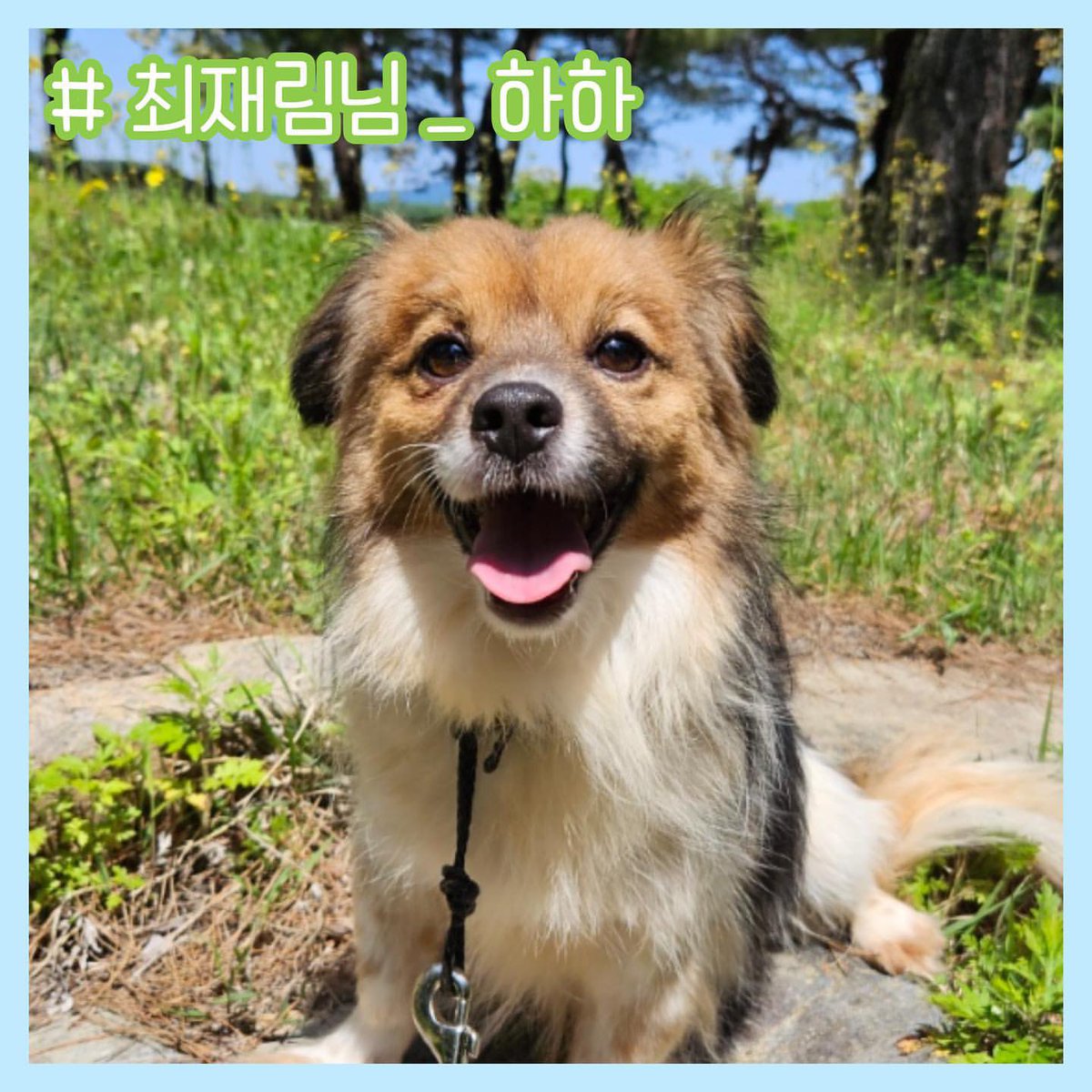 7월 한스 소식지🐶