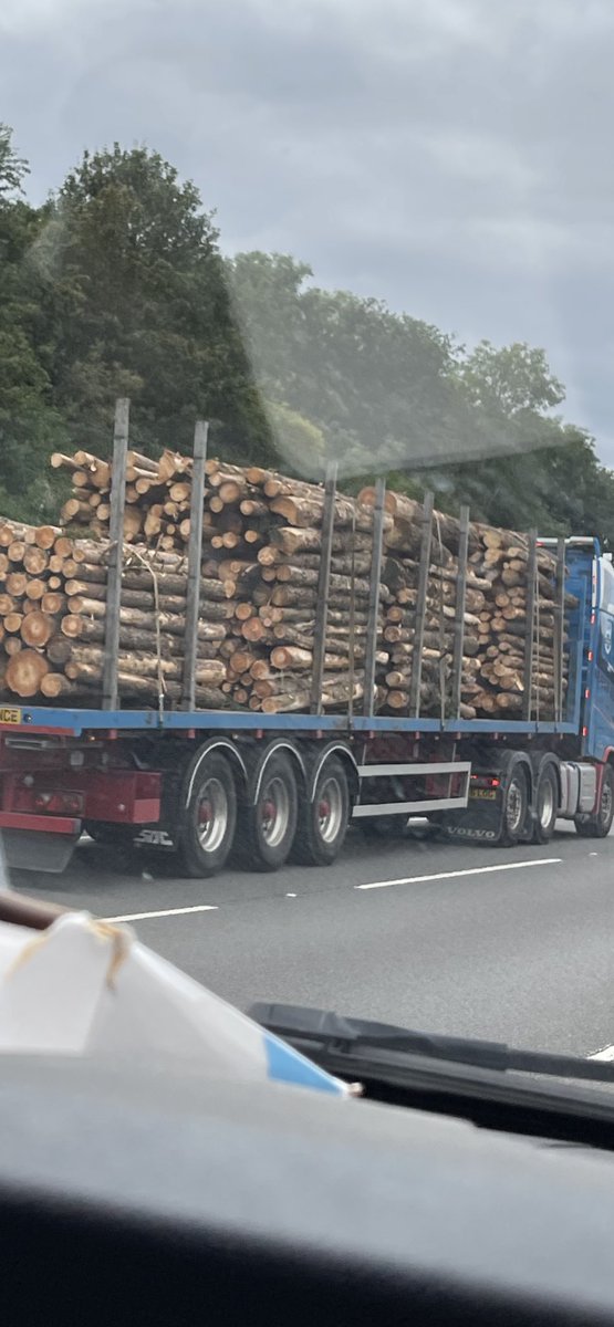 What a beautiful sight. I’m sure <a href="/TatwsTrading/">Tatws Trading 🏴󠁧󠁢󠁷󠁬󠁳󠁿🏴󠁧󠁢󠁷󠁬󠁳󠁿</a> will appreciate this <a href="/bigwillymasonis/">Willbur!</a> 💚