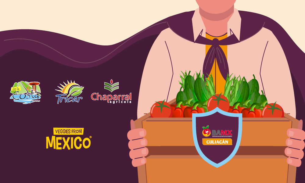 Donan hortícolas de #Sinaloa más de 600 toneladas al Banco de Alimentos de #Culiacán. 🍅🥒🫑 Lee la nota completa en: veggiesfrommexico.com/es/noticias-vf…

<a href="/BAMXCULIACAN/">BAMX CULIACÁN</a>