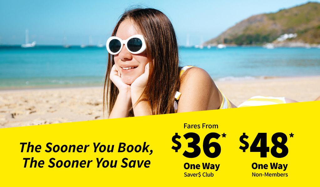 Spirit Airlines tweet media