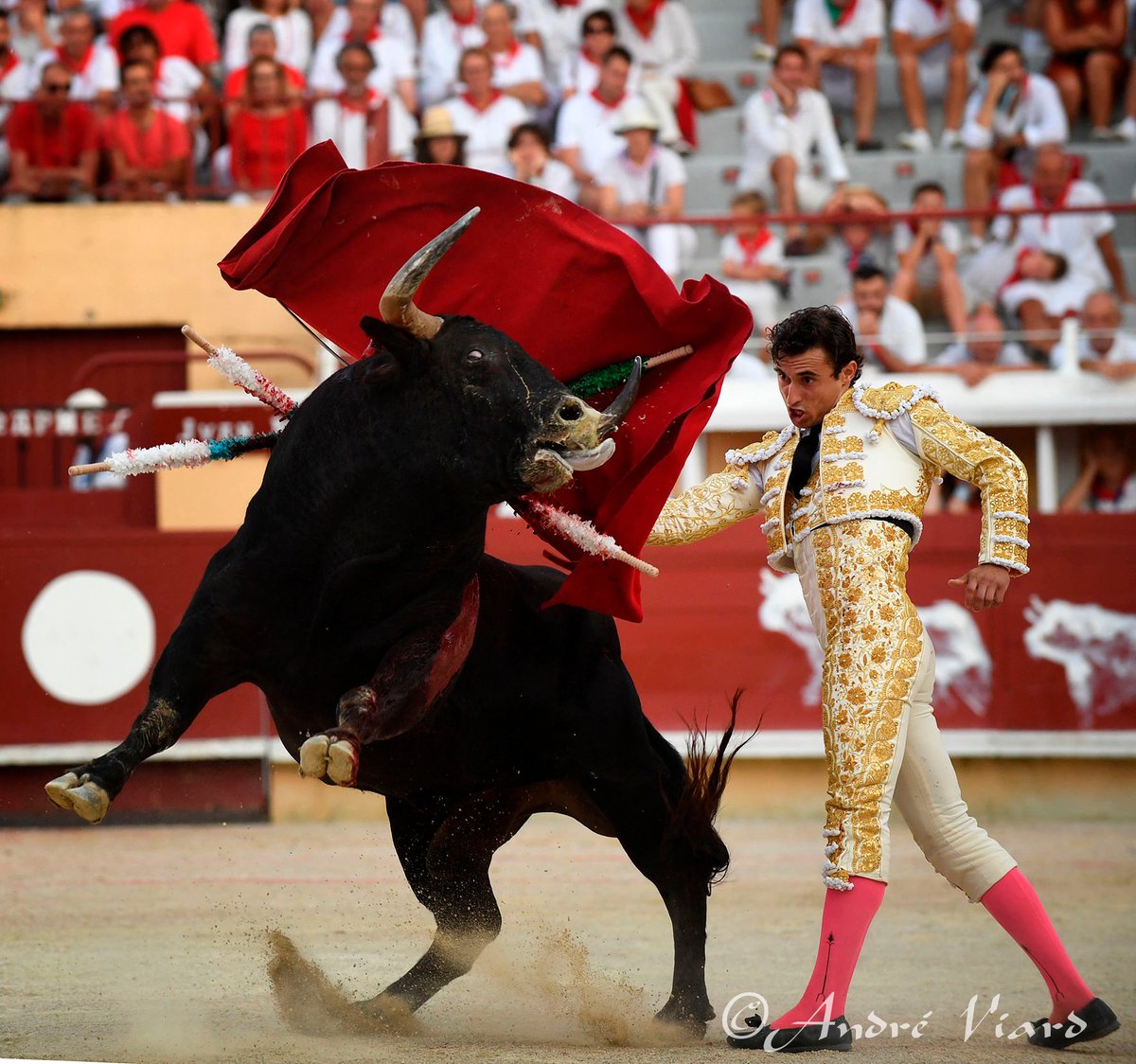 Arènes de Bayonne tweet media