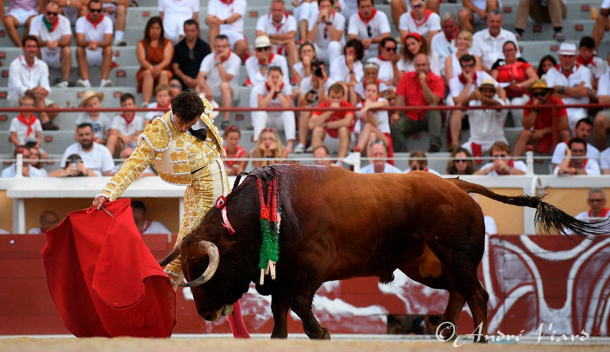 Arènes de Bayonne tweet media