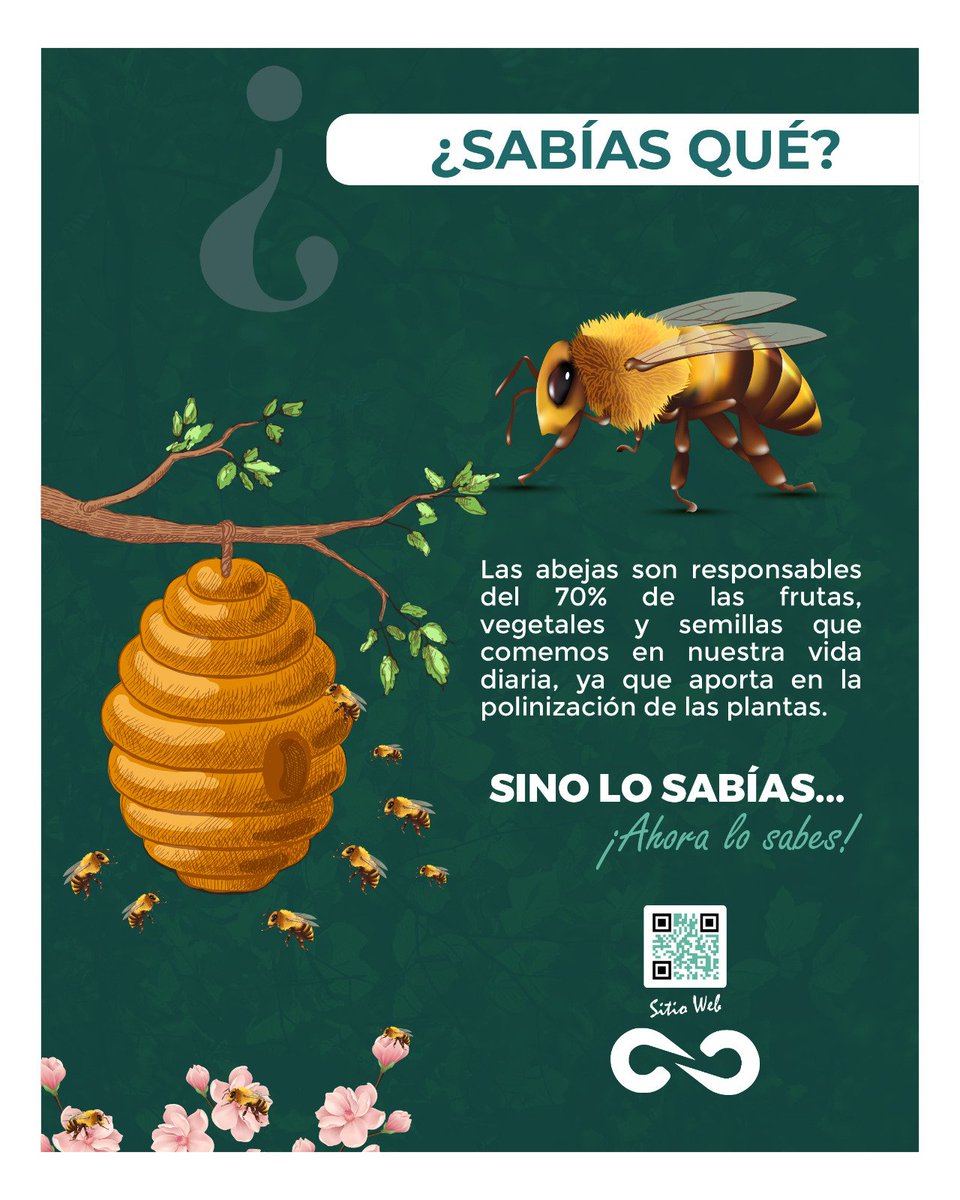 #DatoPlanamb 

🐝 Sin la importante labor de las abejas, la mayoría de nuestros alimentos no existirían.

¡Si no lo sabías, ahora lo sabes! 

#planamb
#ConsultoríaAmbiental