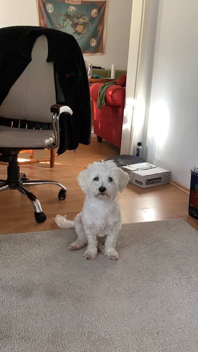 palk saadi geldi ama celen hala hasıllanmadı.. onu kaç saad beklicemi sanıyo acabası