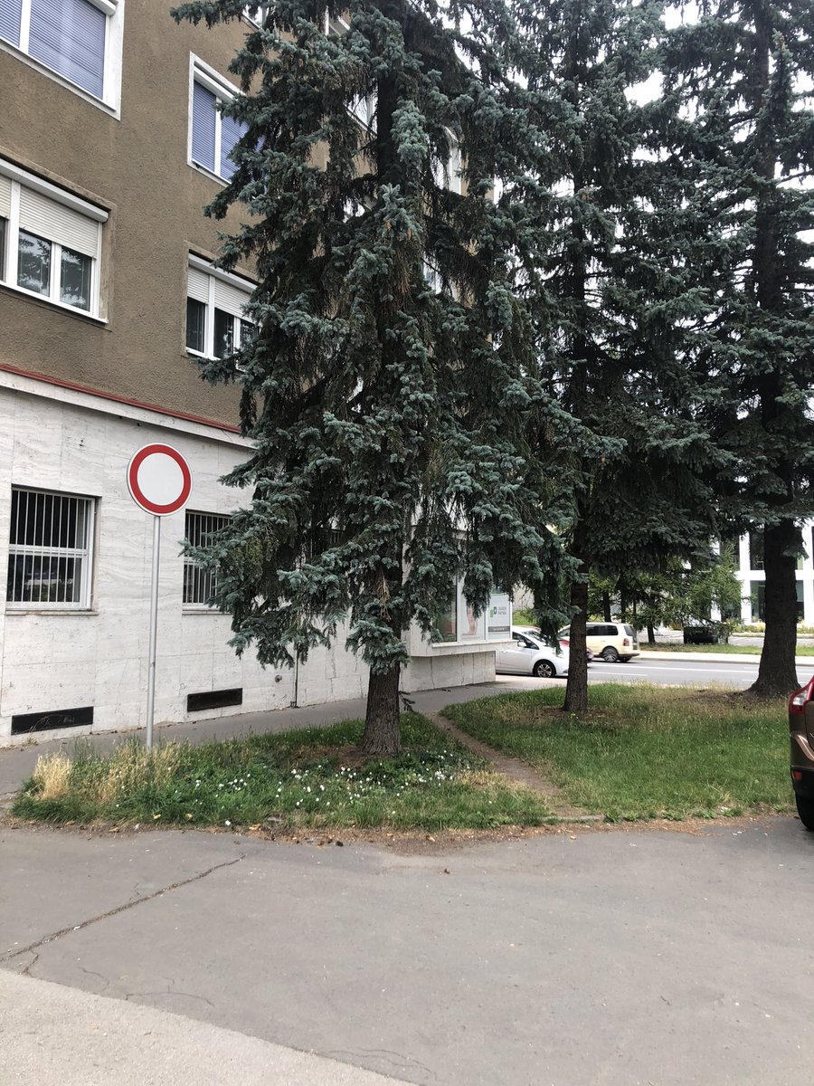 desirepath_look's tweet photo. Banská Bystrica, Slowakia
#desirepath #urbanplanning #nourbanplanning #humanbeings #slowakia #banskabystrica https://t.co/erhsTYtS4v