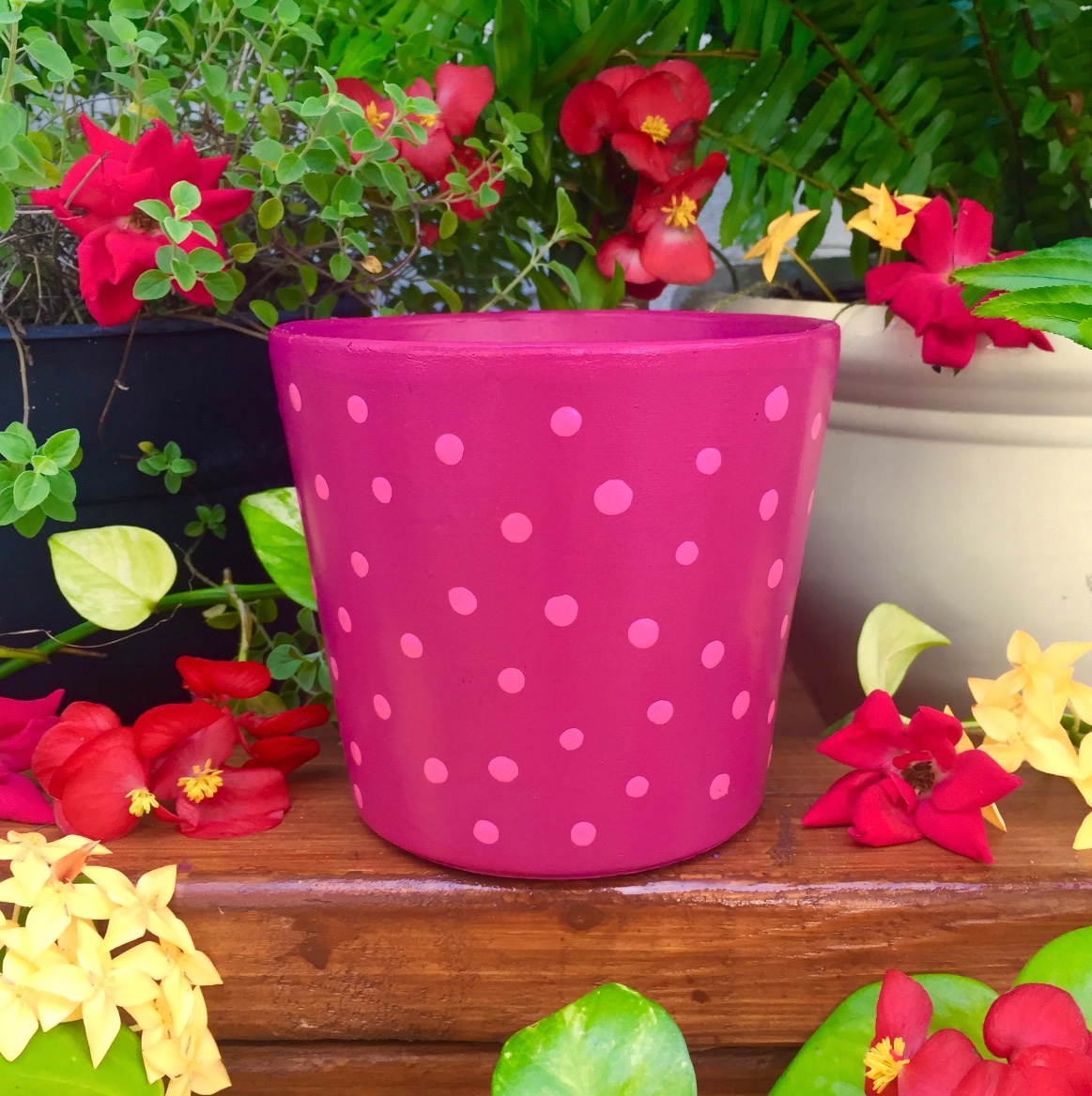 ECreationsKW's tweet photo. CHECK OUT OUR @Etsy SHOP FOR NEW SUMMER DECOR ITEMS! 🌞✨
✨FEATURING: DOODLE TERRACOTTA PLANTER POT✨
🍃 https://t.co/LxsXaDODu9 🍃
#planter #plants #homedecor #handmade #garden #plantsofinstagram #planters #plant #pottery #gardening #flowers #plantsmakepeoplehappy #plantlover https://t.co/kUQZYjEiW5