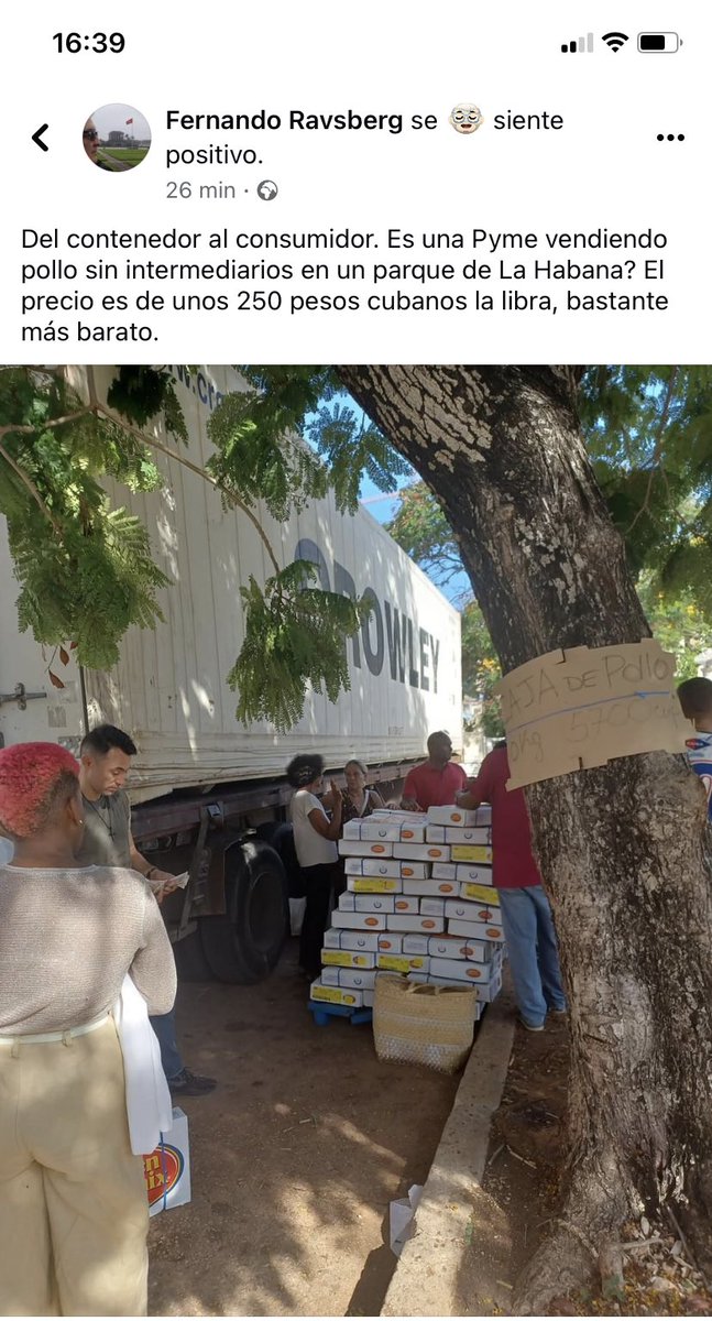 Pedro Monreal tweet media