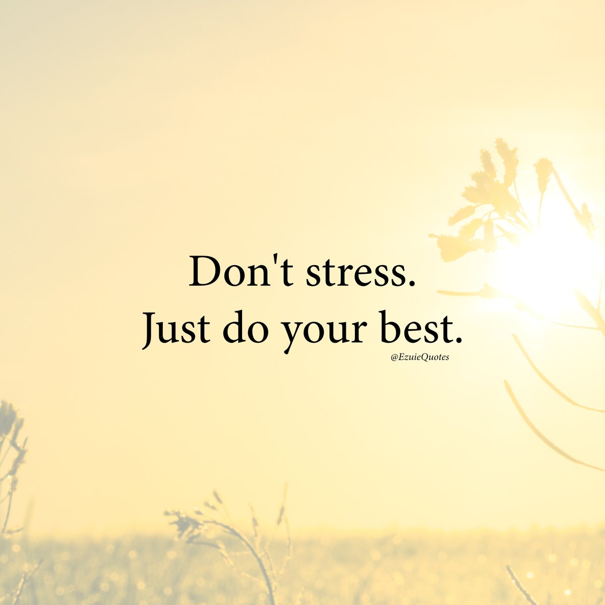 EzuieQuotes's tweet photo. Don't stress https://t.co/D9U95A3SUN