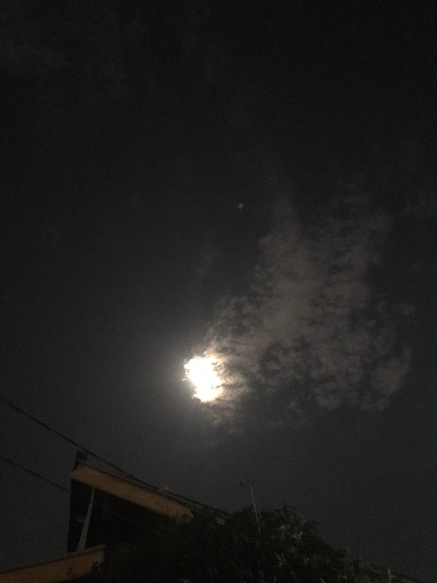 dickyedolitaph's tweet photo. 🌖 https://t.co/SO2f9ekS1o