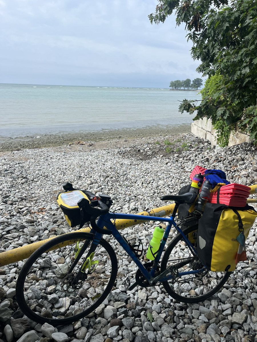 #shecando2021 tweet media