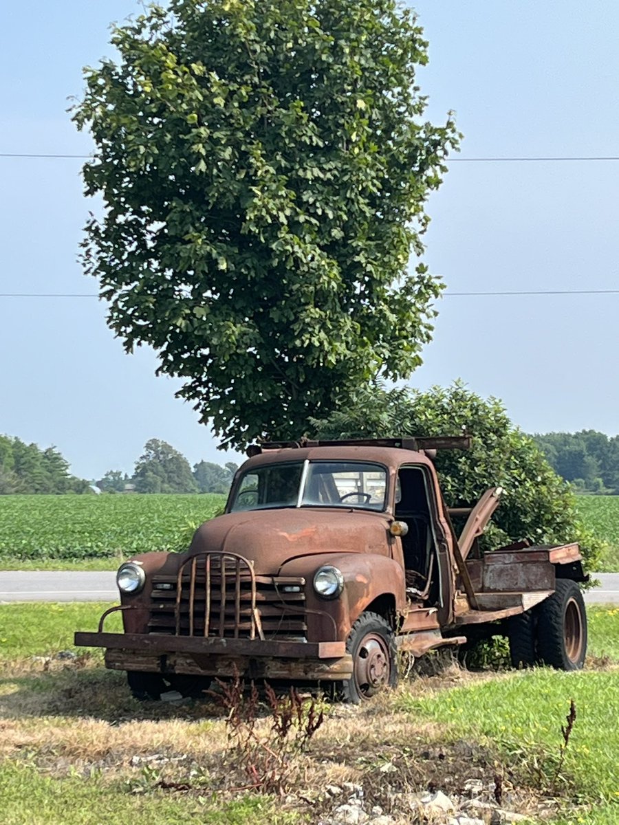 After 2544 miles of cycling in such variable scenery, terrains, cultures and temperatures, I have arrived in Albany!  I have a couple of days here and fly down to New Orleans! #eriecanaltrail 
#biketouring #adventure