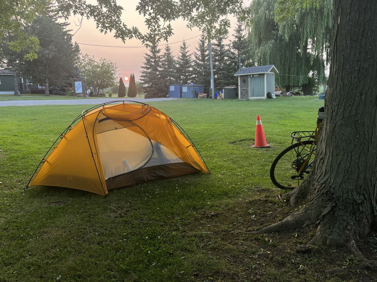 #shecando2021 tweet media