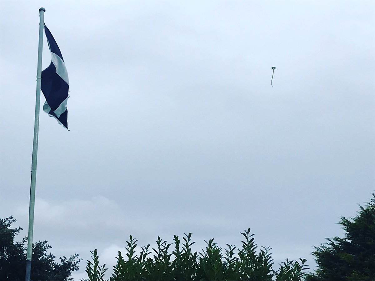 The sky may be grey but it’s perfect weather for kite flying! 😊

#menafarm #glampingcornwall #glampingincornwall #campinglife #campingwithdogs #familycamping #campingcornwall #campsitesincornwall #campingincornwall