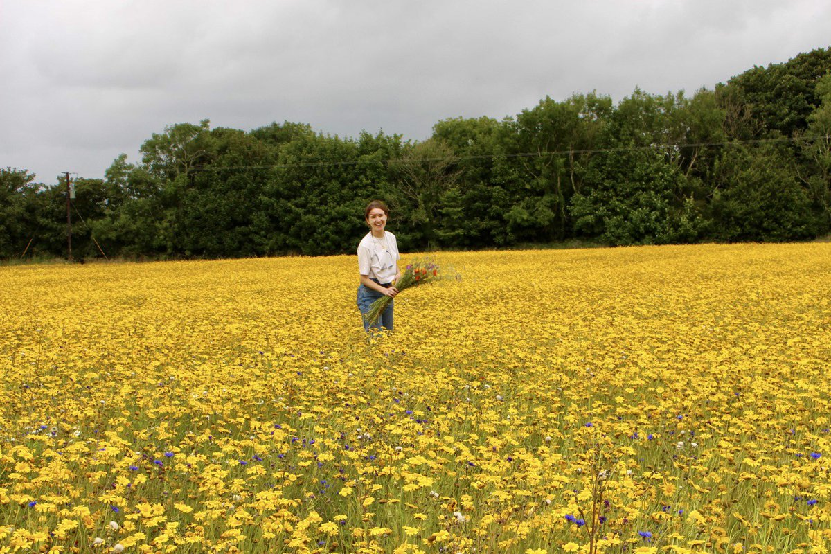 BloomingNative's tweet photo. Nothing but colour and smiles on our wildflower farm 🌸

Ground yourself in nature ✨ https://t.co/0QhzTpQUlE