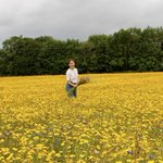 Photo by Connecting to Nature (@BloomingNative)