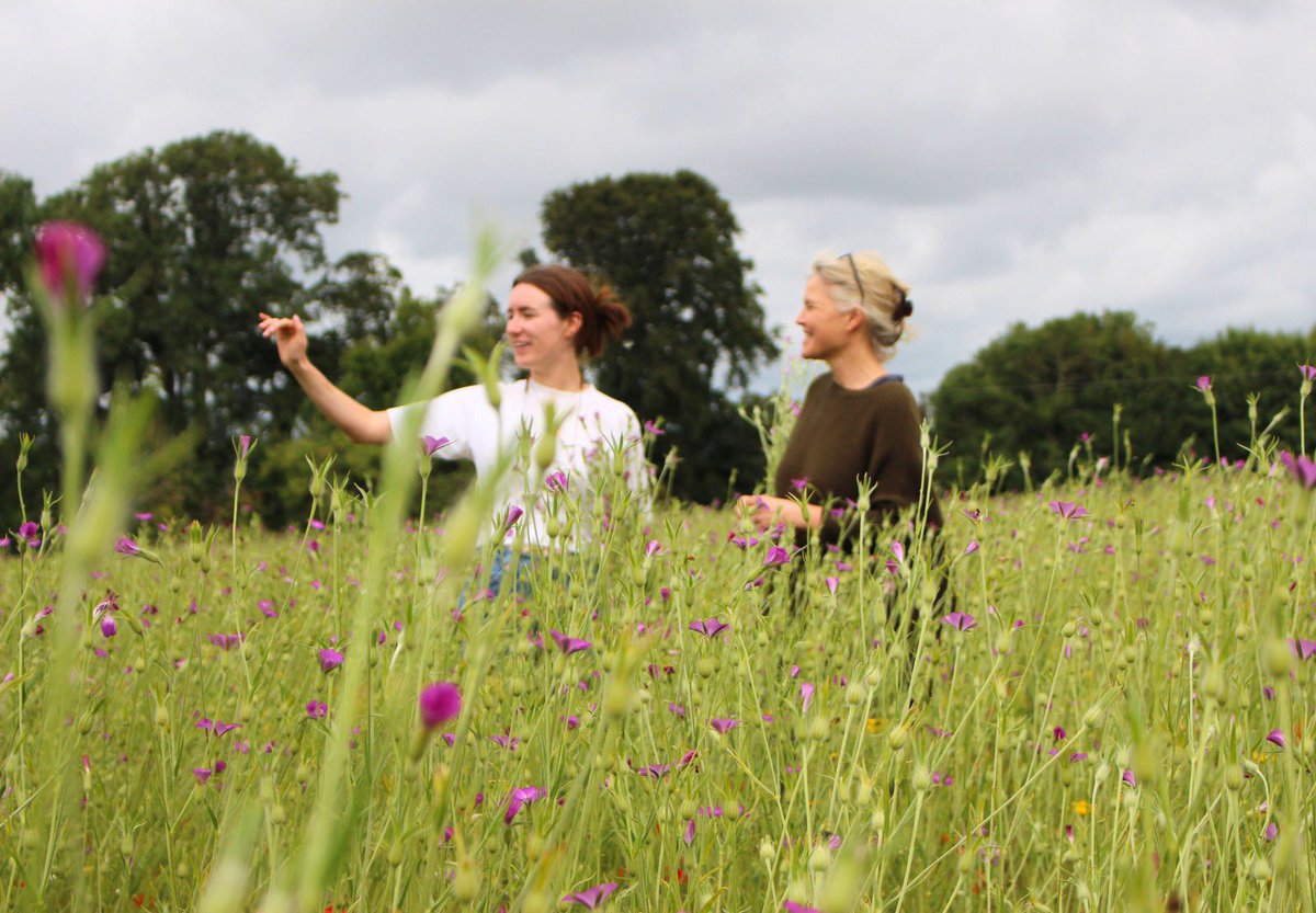 BloomingNative's tweet photo. Nothing but colour and smiles on our wildflower farm 🌸

Ground yourself in nature ✨ https://t.co/0QhzTpQUlE