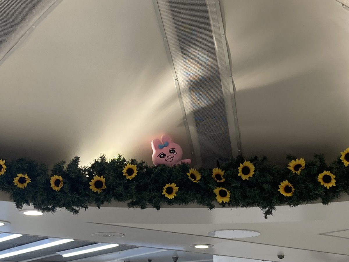 #おぱんちゅおめでとう
#夏のホワイティとおぱんちゅ
おめでとうでちゅ。これからもよろしくでちゅ